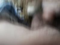 sheep fuck
